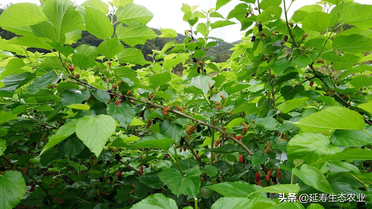 去脸上的斑斑点点怎么做,吃什么消除脸上斑斑点点