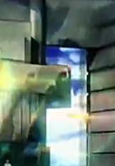 瀹濆彲姊﹂澶寸ぞmv,楠ㄥご绀惧疂鍙ⅵ