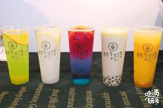 软萌暴击！邯郸这家高颜值猫咖上线，“吸猫”终于提上日程！