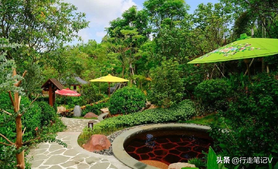 佛山高明白鹭湖森林度假村,广东佛山清远景点推荐