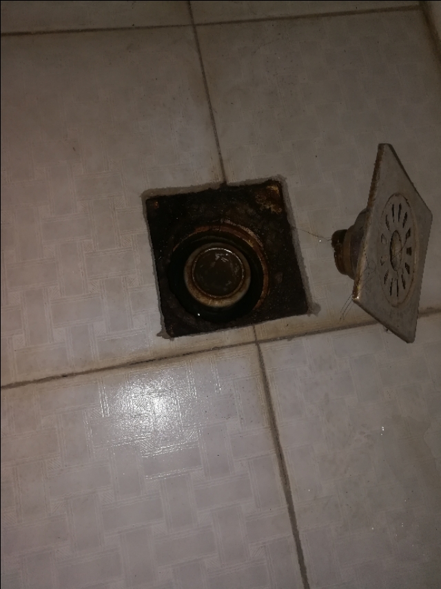 怎么捉家里的大老鼠,如何逮住家里的耗子