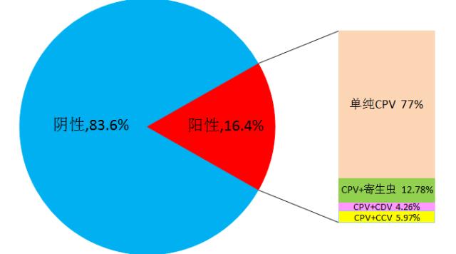 两组数据对比筛查,犬瘟检测两次结果不一样
