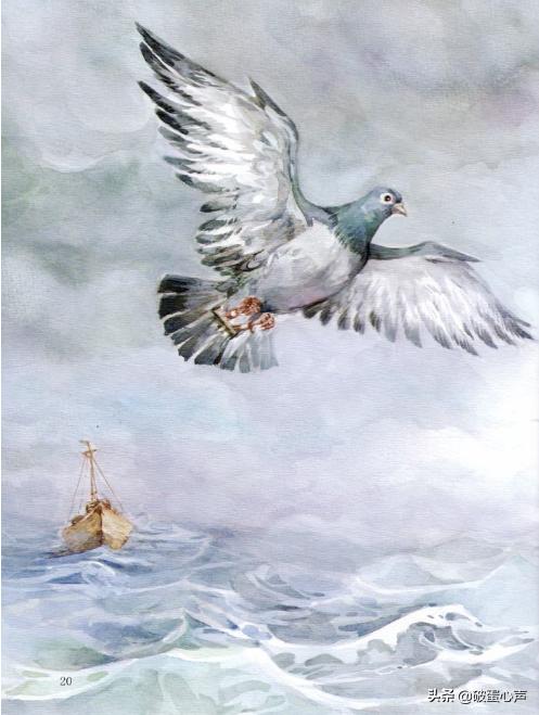 信鸽使命必达视频,使命必达怎么做