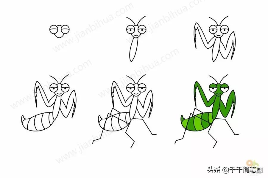 幼儿园动物的水墨画入门,儿童动物画入门简易范画