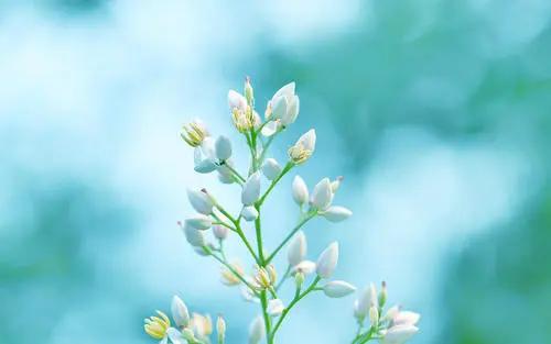 教育叙事美篇,教育叙事的优缺点