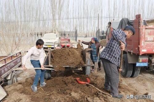 8个适宜在农村创业致富的项目,4个适合农村挣钱好项目推荐