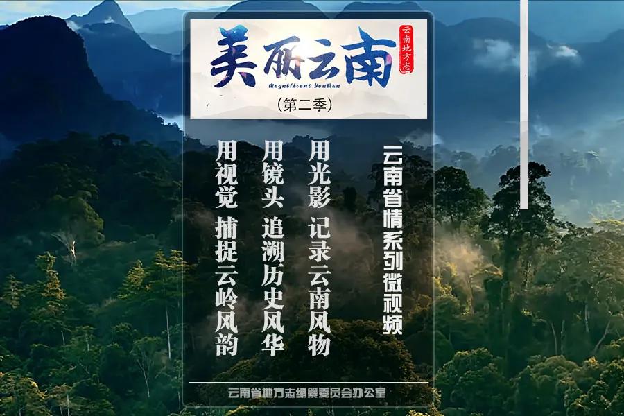 美丽的云南丽江古城,云南美丽丽江