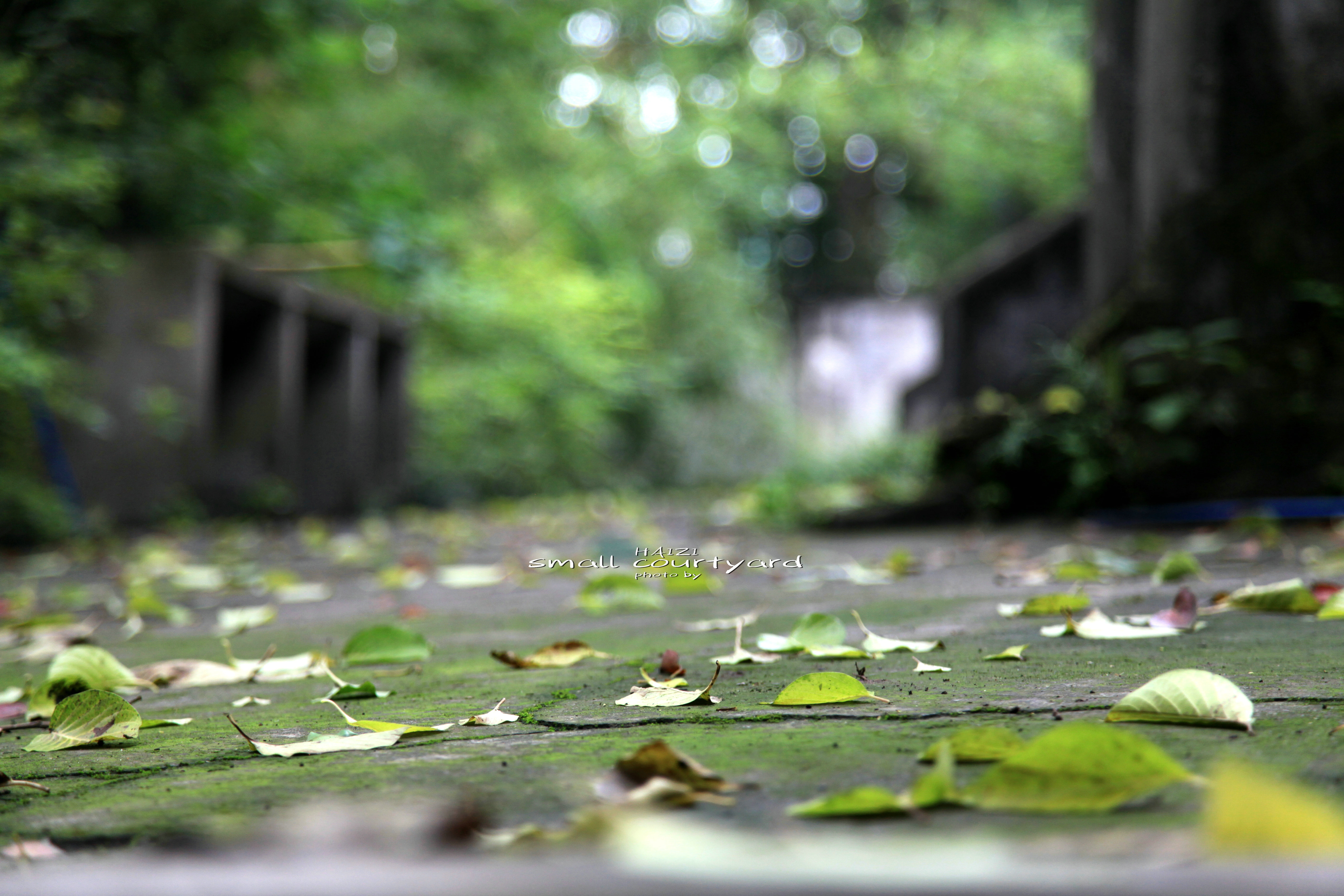 北碚区原三线建设老厂区,北碚机械工业部第三设计院
