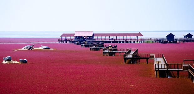 5月18日上海房车展在什么地方,上海5月18日房车展会