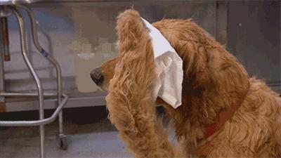 三伏天来临,我终于成为了太阳的后裔:热死宝宝了=Ifeelhot?