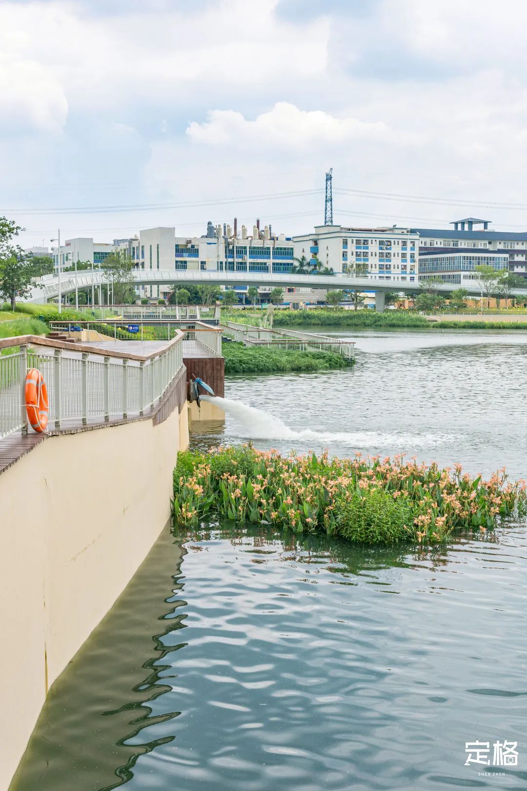沙井万丰哪里的生蚝好吃,深圳沙井生蚝最出名店