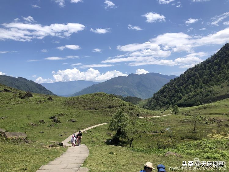 中国百慕大黑竹沟了解一下,穿越黑竹沟揭秘中国百慕大