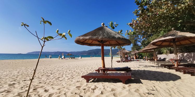 三亚红树林有亲子活动,三亚红树林和海韵