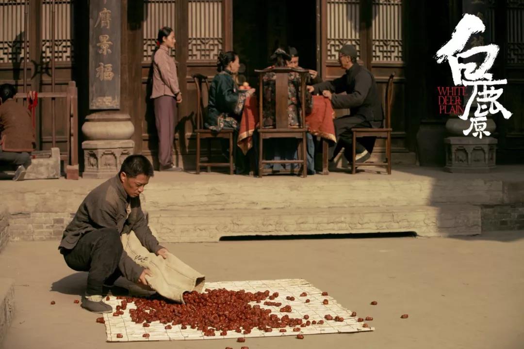 白鹿原|走近“塬上奇女子”——田小娥