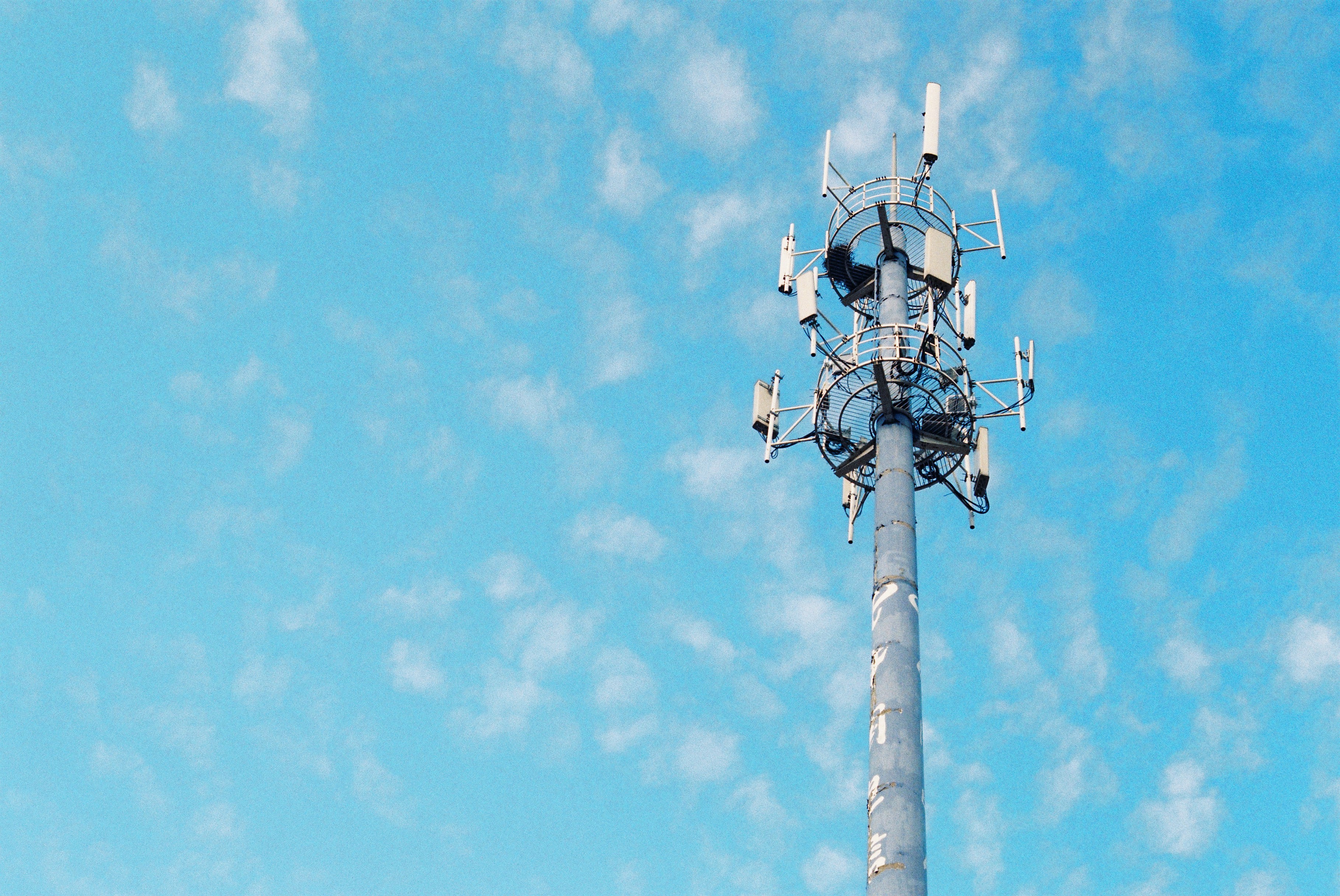 胶片拍出来不晒是什么样子的,日系胶片拍摄过程