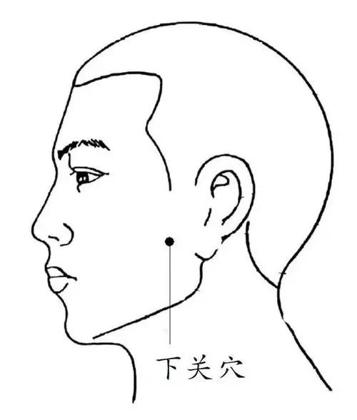 没有牙膏和牙刷怎么可以清洁牙齿,古代人不用牙线牙齿怎么保持干净