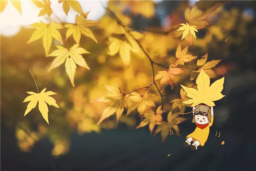 小学生作文中的优秀排比句,满分作文经典排比句积累小学