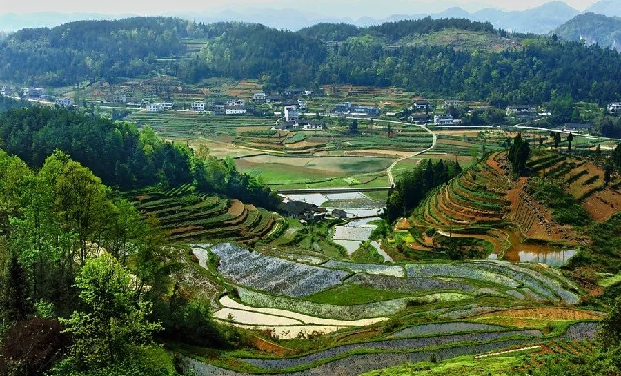 一个草根农民的走红之路,一个草根的农民的走红之路