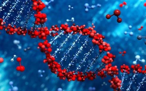 当你真的有了童话一样的小手，网友：那你可能不能挖鼻孔了