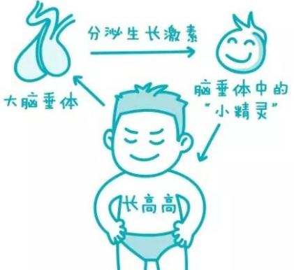 梅西矮小几岁开始治疗,梅西为了长高打了多少针