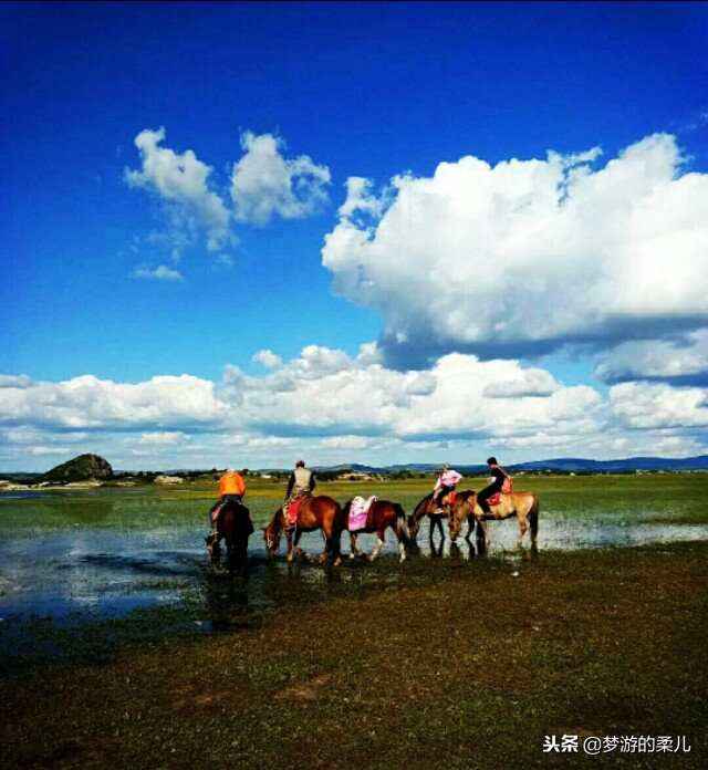 普提写在入冬之际的诗文――再忆草原心生暖
