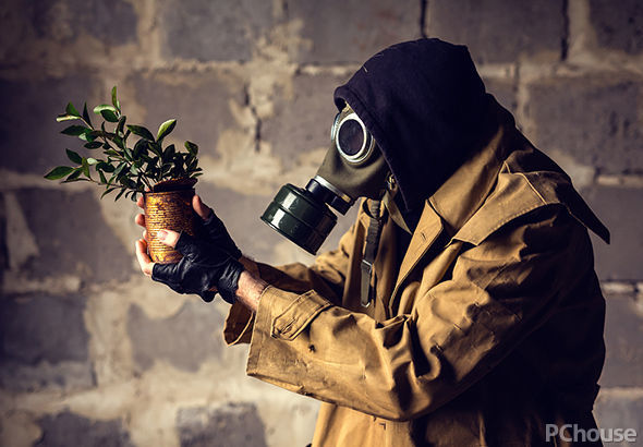 三棵树空气净化器,三棵树刷出的效果