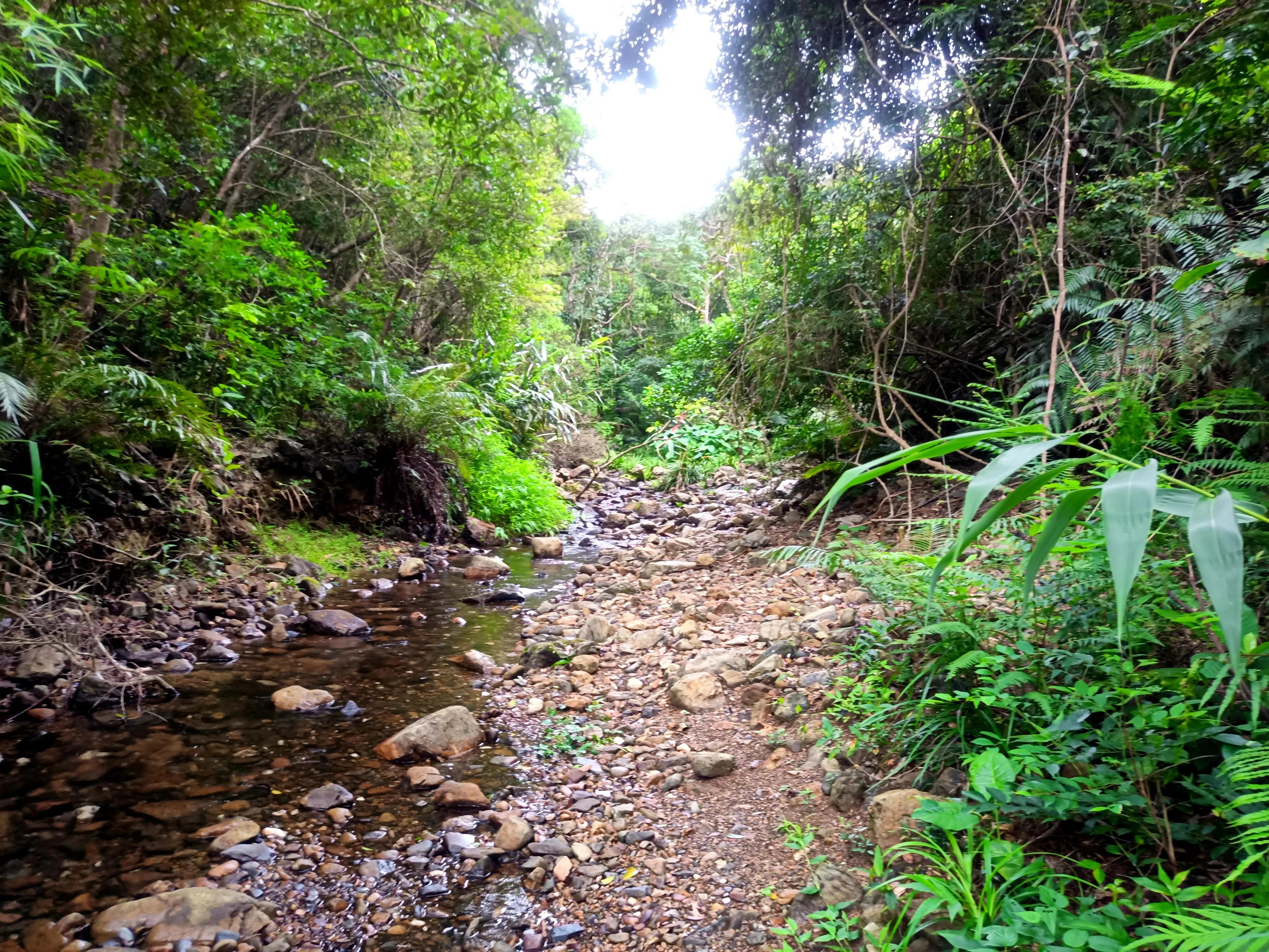 情人谷深圳,深圳情人谷绝情谷