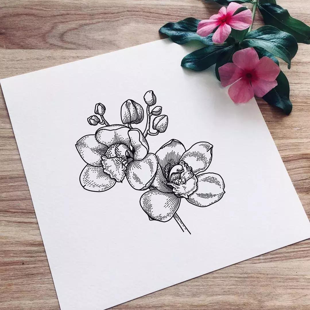 这一波手绘太给力了,绝对让你练完不厉害都难