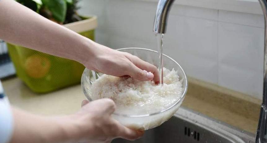 淘米水浇君子兰教程,淘米水能直接擦君子兰叶片上面吗