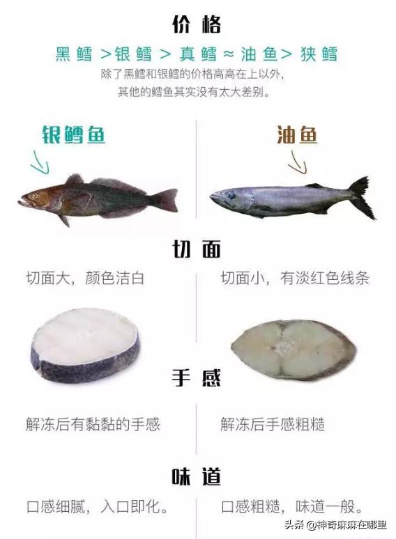 什么鱼dha含量高适合小孩子吃,给孩子吃dha含量高的鱼有哪些