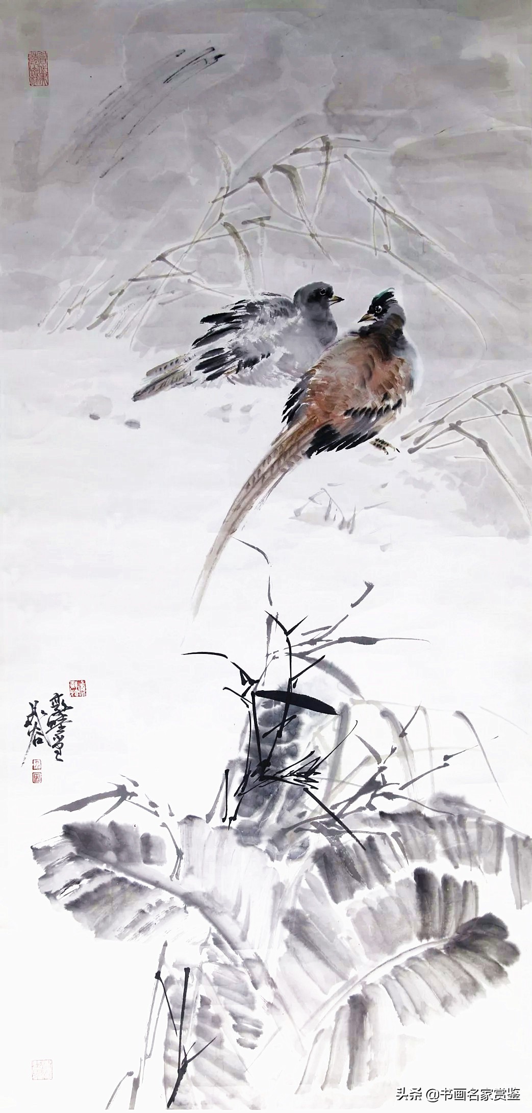 尽日高斋无一事，芭蕉叶上独题诗——一枝蕉叶祝夏安