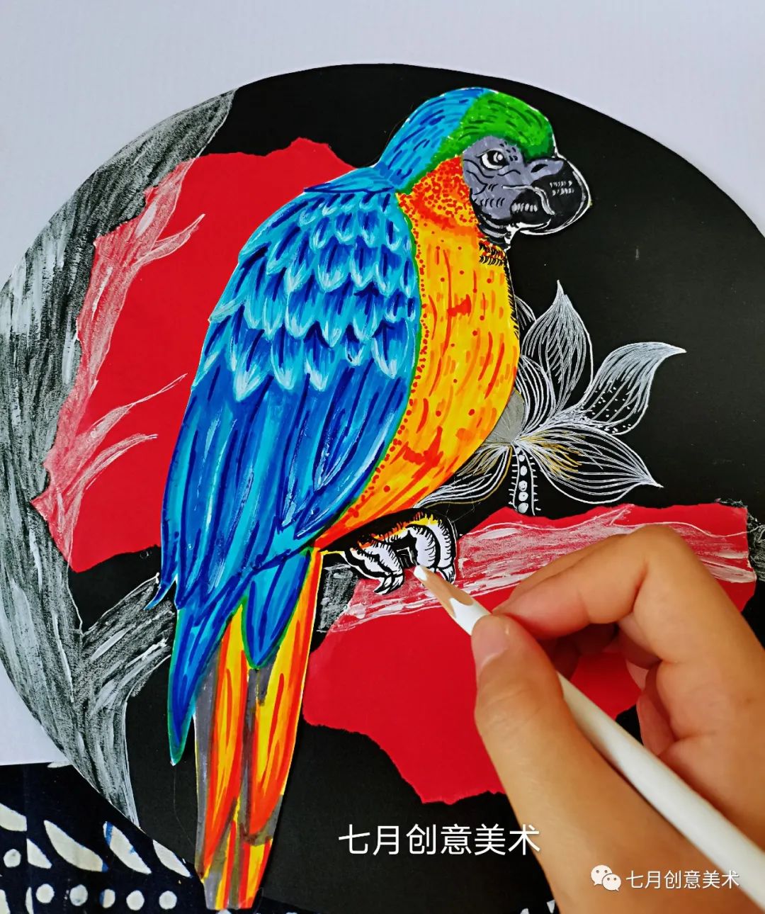 鹦鹉简笔画绘画小技巧,绘画鹦鹉