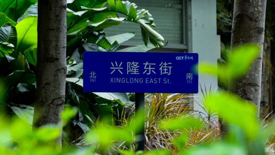 华侨城有钱吗,华侨城的房子适合居住吗