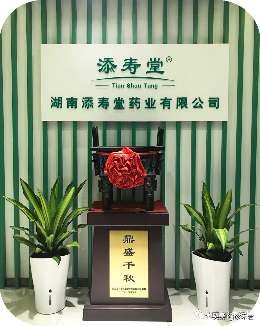 诊禾医疗公司有哪些,湖南诊禾医疗