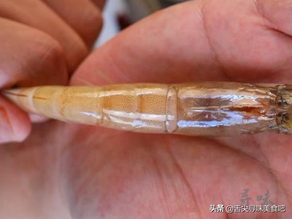 冻虾为什么不能买活虾,冻虾怎么选才是新鲜冻的