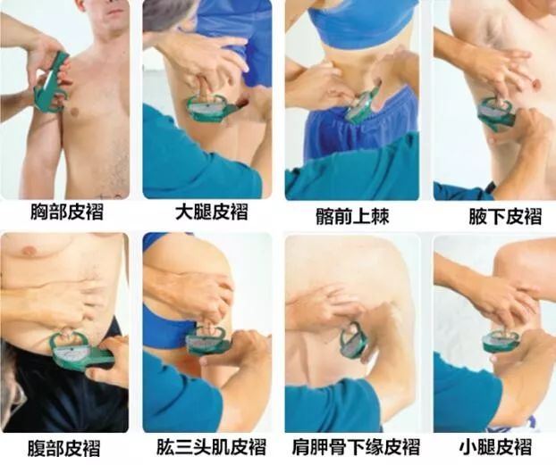 测一测你的脂肪有多少,测测你的内脏脂肪多少级