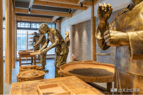 祁门红茶之旅,寻茶记冰岛