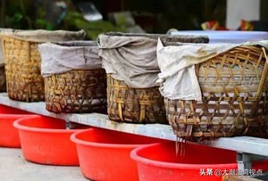 潮州栀粽粿的教程,潮州市凤凰黄栀子粽包法