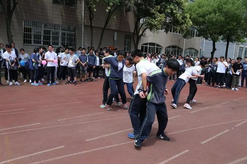 上海松江二中特色,上海市松江二中校园风光