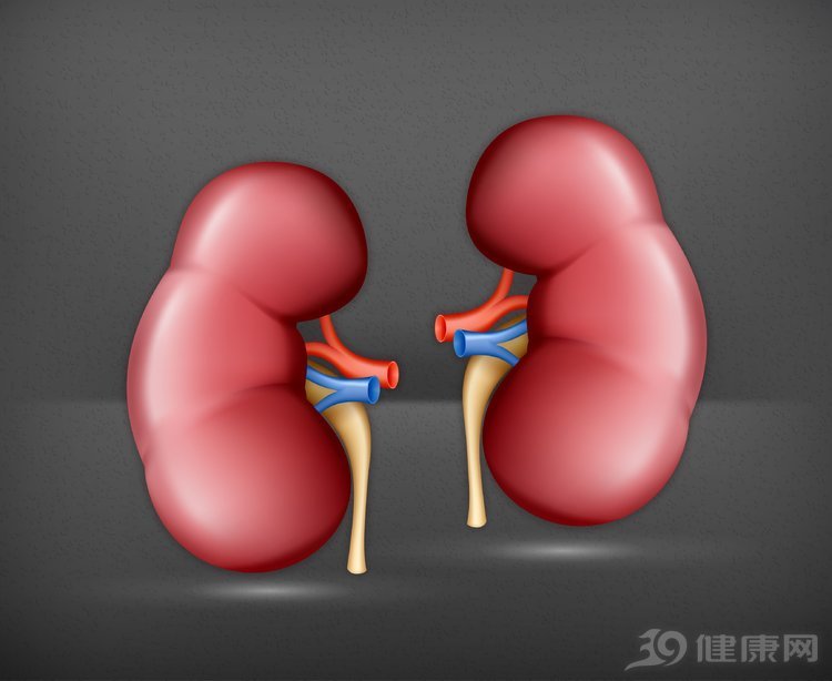 春季养肝秋季养肺冬季养肾,冬天养肾的养生知识大全