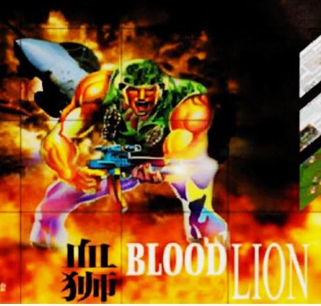 花70万买《血狮》的日本小说家只为建立世界垃圾游戏博物馆