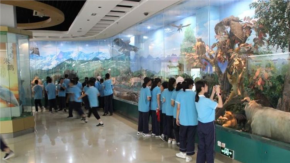 咸阳渭城区第二初级中学,咸阳渭城第二初级中学2020