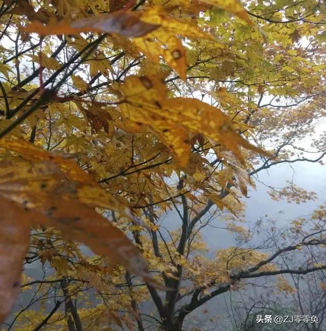 成都周边爬山的好地方人少免费,大年初一成都周边登山游一日游