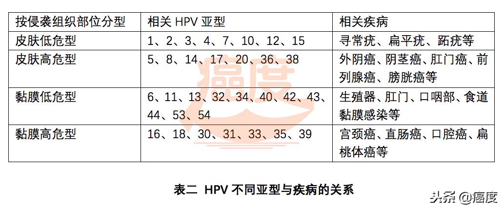 hpv疫苗能预防艾滋病吗,2价hpv大肠杆菌疫苗是预防什么
