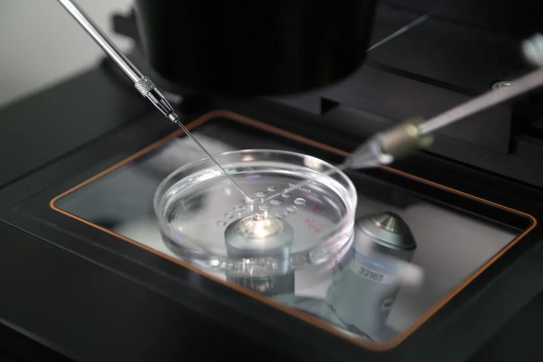 试管婴儿胚胎反复种植失败妇幼保健院调整移植策略终助孕成功