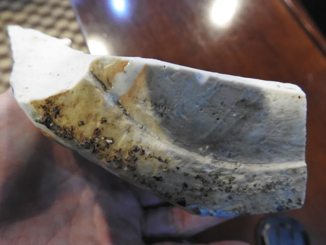 鍏冮潚鑺卞寽鐪熷搧鐗瑰緛,姘戠獞鍏冮潚鑺辩鐗瑰緛