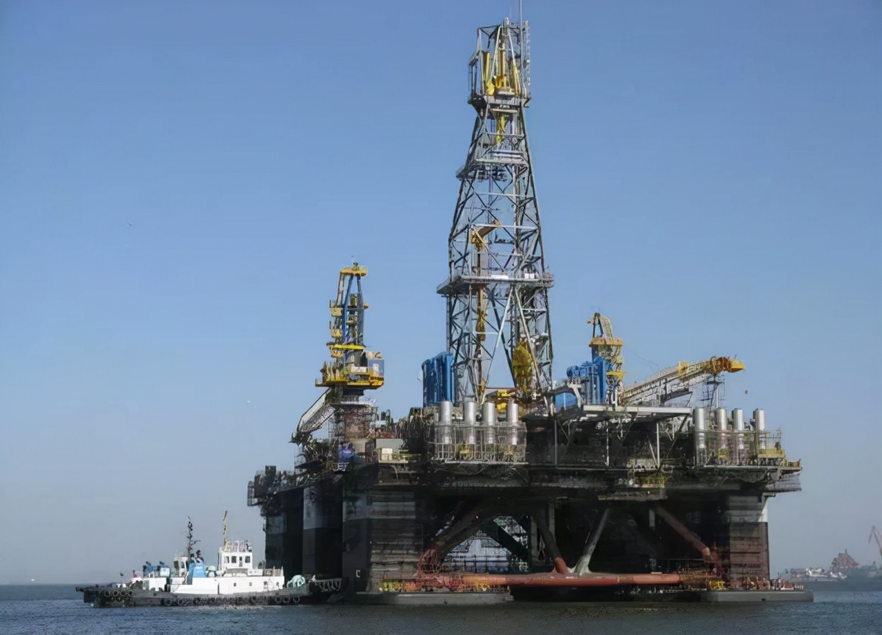 藤壶为什么让鲸鱼和海龟讨厌呢,海中让人唾弃的藤壶