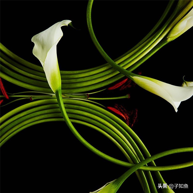 十月份的天秤座的上升星座,十月份出生的天秤座温柔吗