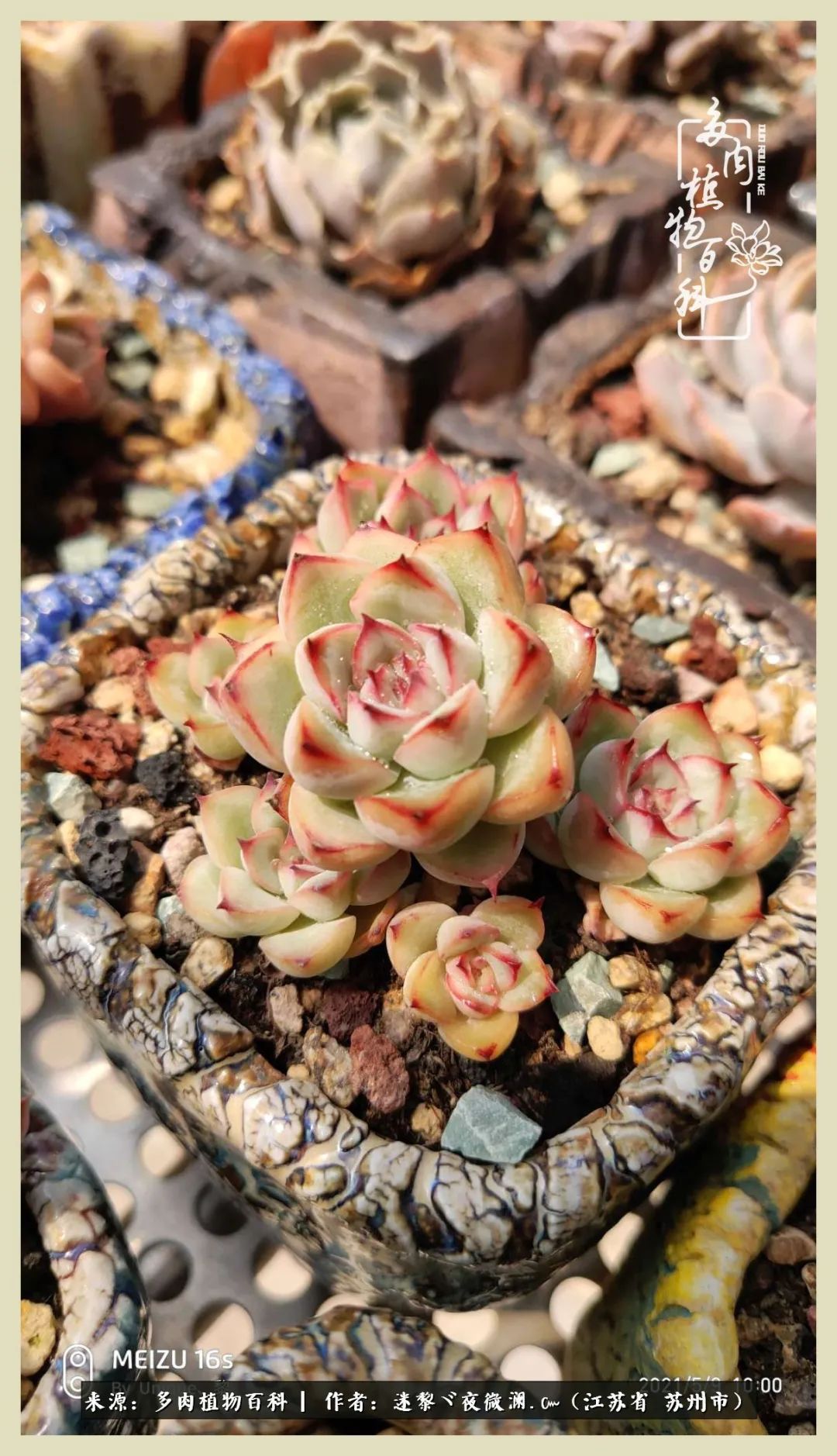 秋尽冬来岁月不居时节如流,岁月不居时节如流水