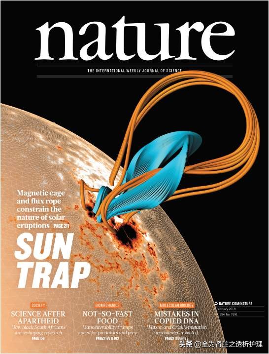 干细胞在肾脏治疗的新进展